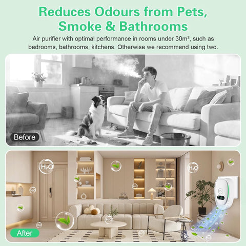 Plug-in Negative Ion Air Purifier (1 pack) - Mini portable negative ion generator for home, quiet deodorizer for pets, bathroom, office, bedroom