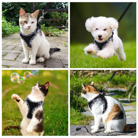 Reflective Adjustable Dog and Cat Harness with Leash, Soft Secure Fit, XXS
