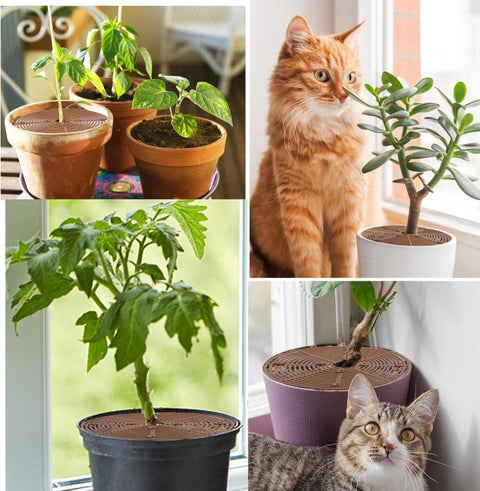 2-Pack Waterproof Cuttable Pot Covers, Prevents Pets from Digging, Compatible with Indoor and Outdoor Gardens, Black, M