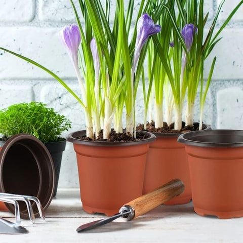 100pcs Reusable Plastic Planting Pots for Indoor and Outdoor Flower Growing, 120mm
