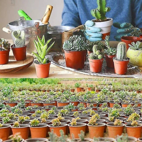 100pcs Reusable Plastic Planting Pots for Indoor and Outdoor Flower Growing, 120mm