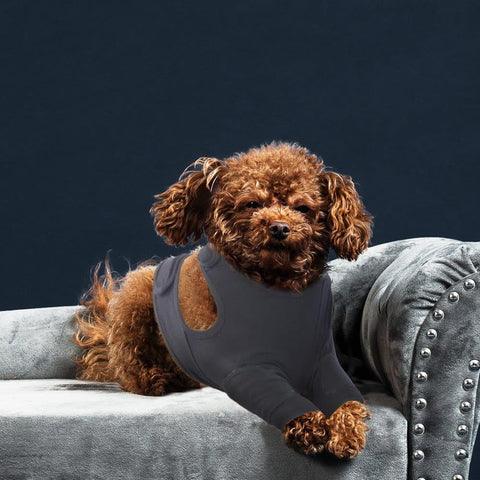 3XL Dog Elbow Protection, Dark Gray, Breathable Elastic Post-Surgery Foreleg Cover to Prevent Licking and Biting