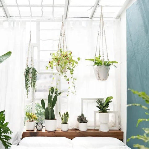 3 pcs Bohemian Plant Hanger for Indoor Plants with Braided Rope Beads and Lace Decoration, 35 Inch, White