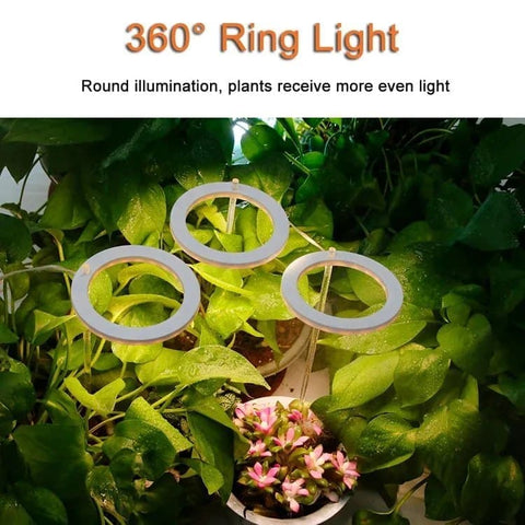 2 pcs LED Grow Light 4000K Full Spectrum with Timer, Adjustable USB Plant Lighting for Small Plants, Beige