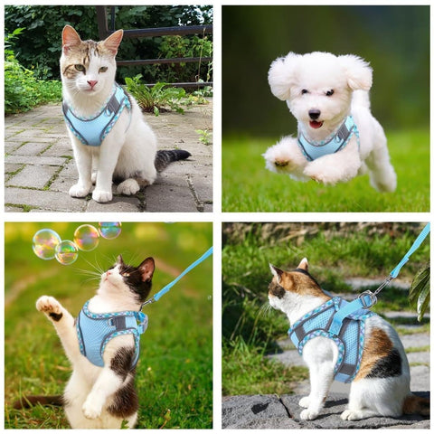 1 Adjustable Pet Harness with Reflector and Leash for Cat and Dog, Soft Comfortable Vest Anti-Escape, XXS, Light Blue