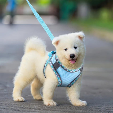 Adjustable Pet Harness for Cat and Dog with Reflector and Leash, Soft Comfortable Vest Design Anti-Escape, Compatible with Small Medium Large Pets, S, Light Blue
