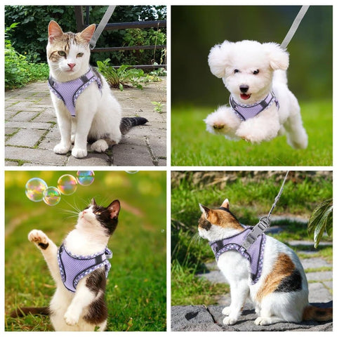 Adjustable Pet Harness with Reflector and Leash for Cats and Dogs, Soft Comfortable Vest Design Anti-Escape, S, Purple