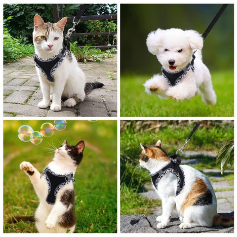 Adjustable Pet Harness with Reflector and Leash for Cats and Dogs, Soft Comfortable Vest Anti-Escape, Compatible with Small Medium Large Pets, M, Black