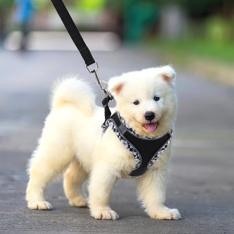 Adjustable Pet Harness with Reflector and Leash for Cats and Dogs, Soft Comfortable Vest Anti-Escape, Compatible with Small Medium Large Pets, M, Black
