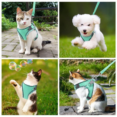 1 Adjustable Pet Harness with Reflector and Leash for Cat and Dog, Soft Comfortable Vest Design Anti-Escape, L, Green