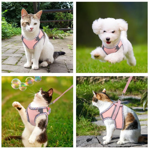 Adjustable Pet Harness with Reflector and Leash for Cat and Dog, Soft Comfortable Vest Design Anti-Escape, XS Pink