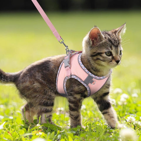 Adjustable Pet Harness with Reflector and Leash for Cat and Dog, Soft Comfortable Vest Design Anti-Escape, XS Pink