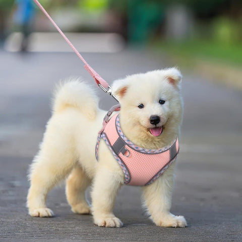 Adjustable Pet Harness with Reflector and Leash for Cat and Dog, Soft Comfortable Vest Design Anti-Escape, XS Pink