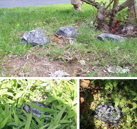 Fake Stone - Hollow Stone - Outdoor Hiding Place for House Keys - Plastic Fake Stone - Anti-Burglar - Security - Discreet - Safe Way to Hide a Key - Hide Keys in an Unfindable Hiding Place - 1 Piece