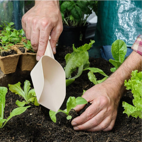 Garden trowel - planting trowel - plastic - Multi-purpose trowel - Ergonomic Stainless Steel Garden Trowel - Small Planting Trowel - Deep Bottom - Small Garden Trowel - Hand Trowel - Garden Tool - 28.5×7.5 cm
