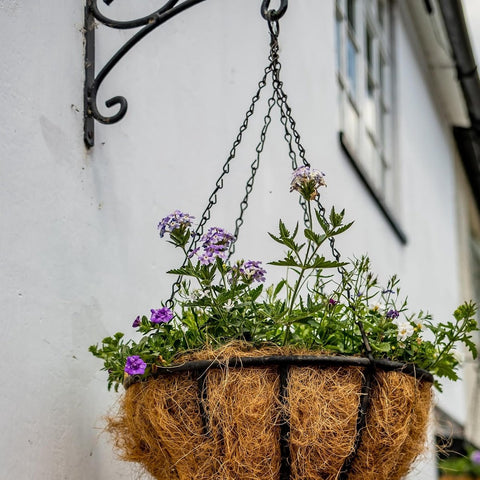 pieces - 16 inch - Plant hanger - Flowerpot hook - Lantern hook - Garden hook - Plant hook - hanging basket chains - with 3 chains - black chain with hooks - for hanging plants and flowerpots - 40 cm - black