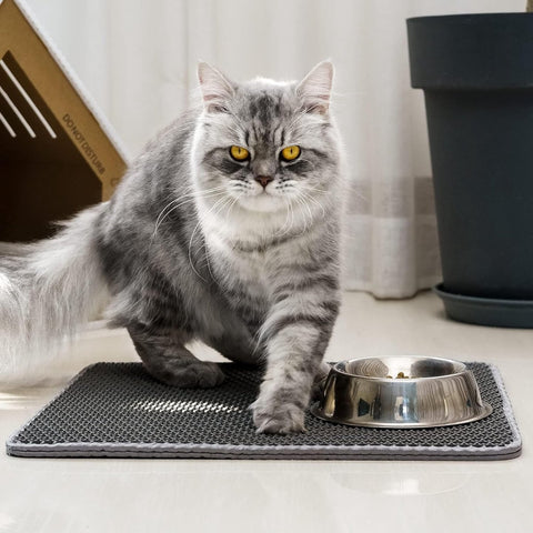 Cat Litter Mat - 30 x 45 cm - Waterproof Cat Litter Mat - Cat Litter Mat - Grit Catcher - Cat Litter Mat - Double Layer - Cat Litter Mat - Catchment Area - Cat Mat - Black