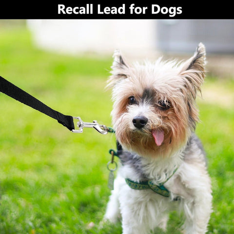 20m*2cm - Dog Leash - Dog Training Leash - Pet Leash - Waterproof - With wrist strap and 360° carabiner - long leash - leash - robust - Pet Supplies - for medium and large dogs - for obedience training - black