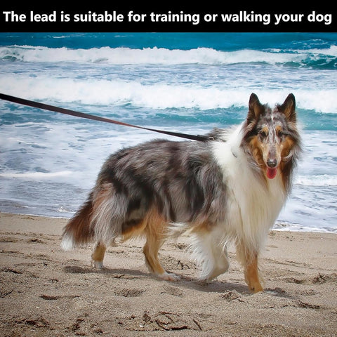20m*2cm - Dog Leash - Dog Training Leash - Pet Leash - Waterproof - With wrist strap and 360° carabiner - long leash - leash - robust - Pet Supplies - for medium and large dogs - for obedience training - black