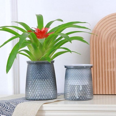 Flower pots - Plastic flower pots - sustainable garden supplies - hydroponic flower pots - visible water level - With absorbent cotton rope - Ø 10 x H 12 cm - Gray