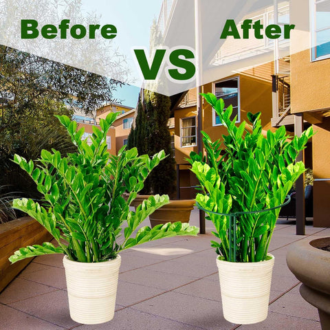 Plant Support Poles, 6-Pack Metal Peony Cages and Supports, Plant Support Cage for Garden Poles, Large Plant Support Ring for Outdoor and Indoor Use, Snake Plant, Peony, Flower Tendril (25cm W x 40cm H)