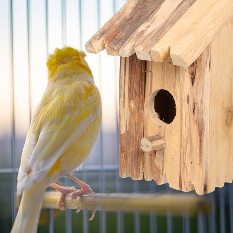 SWETRACE 1Pack Wooden Bird Feeder House Natural Wood Design for Garden Outdoor Birds