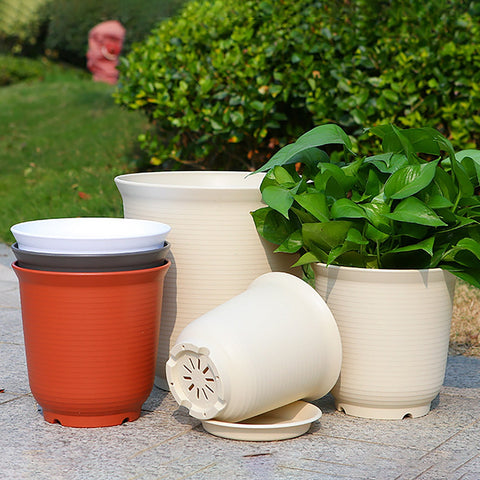 6 Inch Planter Nursery Pots, Plastic Planters Pots for Plants Flower Transplanting with Drainage Holes and Saucers, Beige, 6.06x4.25 8.34" x 5.11" Grey
