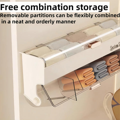 Underwear women's storage box - Premium quality - Storage box with lid - Clothing storage box - clothes rack - wardrobe - clothes hangers - Drawer - storage cabinet with compartments - Plastic storage box - Underwear - Socks - Hanging without drilling - W