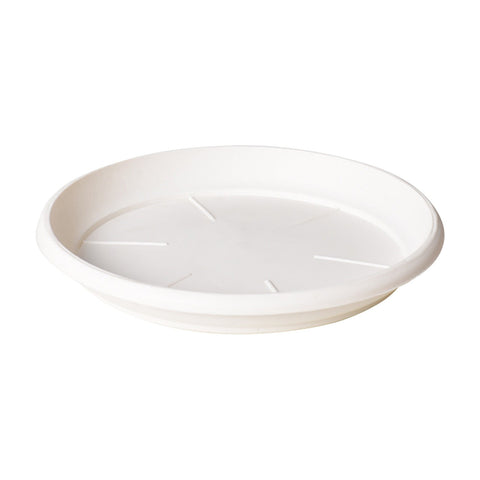 Darzheoy 6 Pack Plant Saucer Tray 3.6 inch, Heavy Duty Plastic Pot Plant Drip Trays Saucers for Indoors Outdoor, Plant Water Tray for Planters 5.3" White