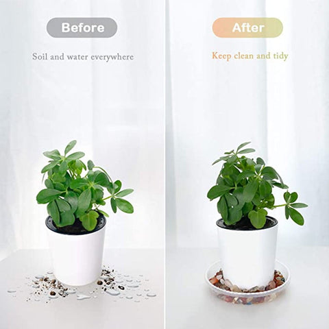Darzheoy 5 Pack Clear Plastic Plant Saucers Drip Trays Plant Plate Dish for Indoor Planters Flower Pots, 10 inch A