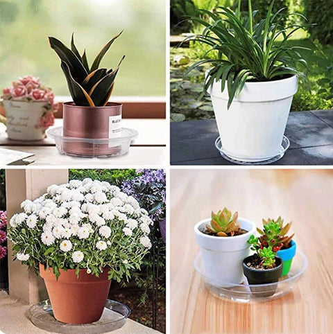 Darzheoy 5 Pack Clear Plastic Plant Saucers Drip Trays Plant Plate Dish for Indoor Planters Flower Pots, 10 inch B