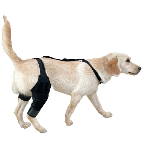 Dog Knee Brace Dog Brace Hind Leg Dog Knee Brace with Extra Collar and Support Treats Kneecap Dislocation Arthritis（S）