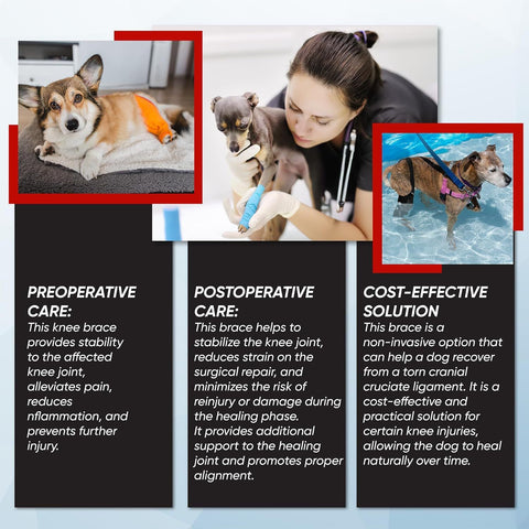 Dog Knee Brace Dog Brace Hind Leg Dog Knee Brace with Extra Collar and Support Treats Kneecap Dislocation Arthritis（S）