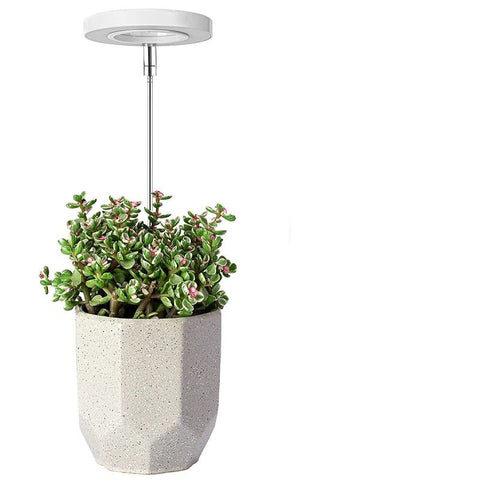 Grow Lights for Indoor Plants, LEDs Full Spectrum Halo Plant Light for Indoor Plants, Height Adjustable Growing Lamp with Detachable Base, 2/4/8Hrs Timer, 4 Brightness, 2-Pack