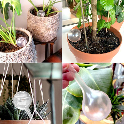 Plant Automatic Watering Devices, Clear Plastic Self-Watering Bulbs Flower Automatic Watering Device While Away Garden Waterer for Plant Indoor Outdoor 10pcs(13*5cm)