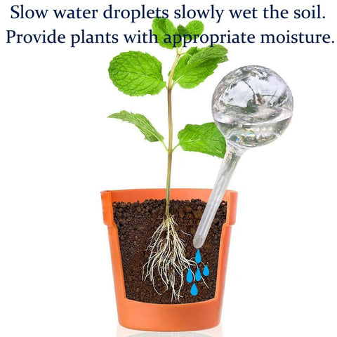 Plant Automatic Watering Devices, Clear Plastic Self-Watering Bulbs Flower Automatic Watering Device While Away Garden Waterer for Plant Indoor Outdoor 10pcs(13*5cm)