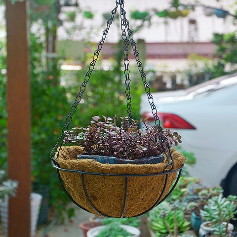 Series Hanging Basket, 8-Inch with Chain Metal Hanging Baskets for Plants Outdoor Hanging Flower Pots Outdoor Decorative Round Wire Plant Holder