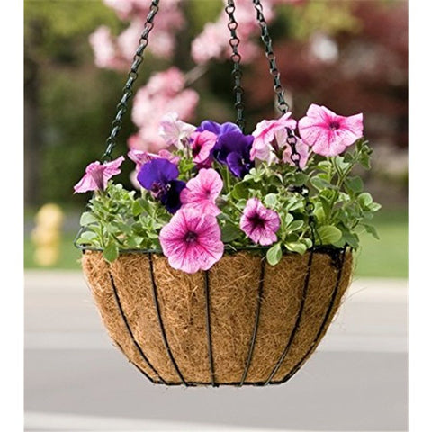 Series Hanging Basket, 8-Inch with Chain Metal Hanging Baskets for Plants Outdoor Hanging Flower Pots Outdoor Decorative Round Wire Plant Holder