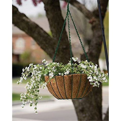 Series Hanging Basket, 8-Inch with Chain Metal Hanging Baskets for Plants Outdoor Hanging Flower Pots Outdoor Decorative Round Wire Plant Holder