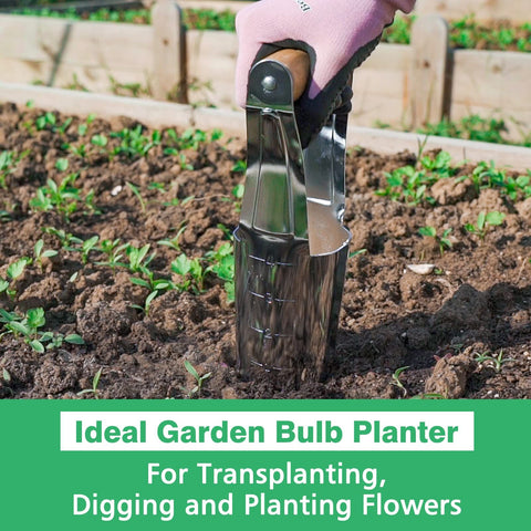 Steel Bulb Planter Tool for Planting Bulbs - High Carbon Steel & Comfortable Wood Carved Handle - Depth Marker for Consistent Planting Flowers Tulips, Daffodils, Dahlias (2pcs，24*11.5*6cm)