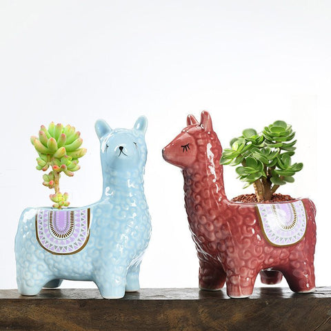 Alpaca Orchid Ceramic Planter