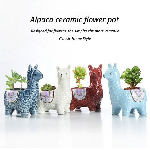 Alpaca Orchid Ceramic Planter