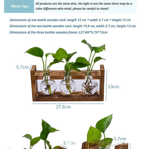 HydroponicSnap-OnWoodenStand-Heart-ShapedDoubleBottle