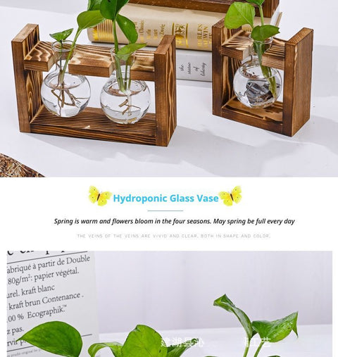 HydroponicWoodenFramewithSnap-On-SphericalSingleBottle