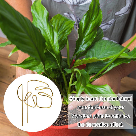 2 Pack Gold Plant Supports Indoor Outdoor Plant Stakes Clips Plant Stand for Plant Support