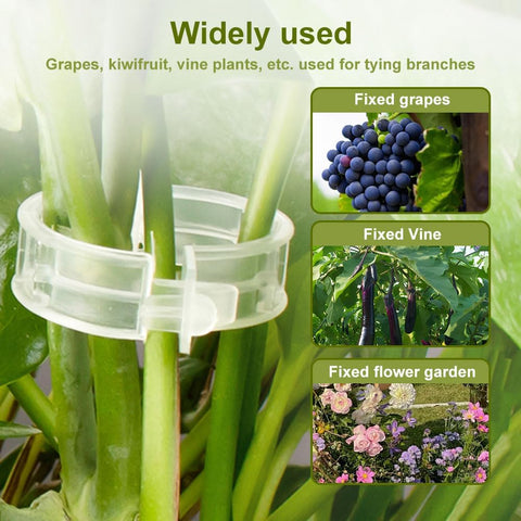 Secured Plastic Plant Clip - 100 Pcs, Garden Support Clips for Climbing Vines - Reusable, White