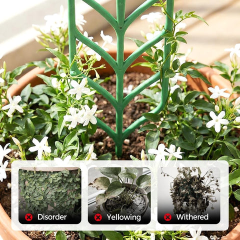 Plant Trellis for Climbing Plants, Indoor Outdoor Plastic Garden Trellis, Adjtable Potted Plant Support for Pothos, Ivy, Hoya, Monstera & Flower Vines (3PCS)