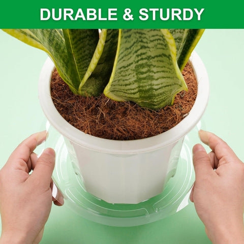Petluno 24 Pack Clear Plant Saucers - 6, 8, 10, 12 Inch Plastic Trays for Pots, Flower Pot Saucers, Indoor & Outdoor Planter Drip Tray Water Drainage Protection  6",8",10",12"-