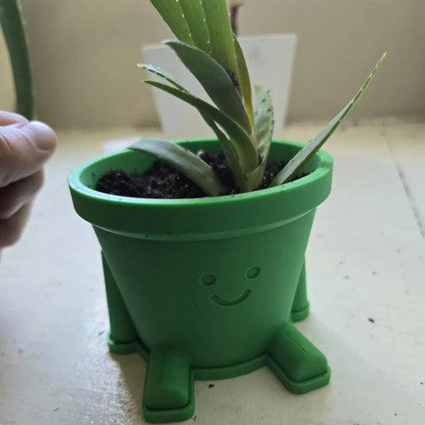 Cute Smiley Guy Indoor Plant Pots - 3.94 Inch Fower Pot with Drainage Hole and Drip Dray, Small Succulent Green Plants Pot, Cute Plant Gifts for Plant Lovers