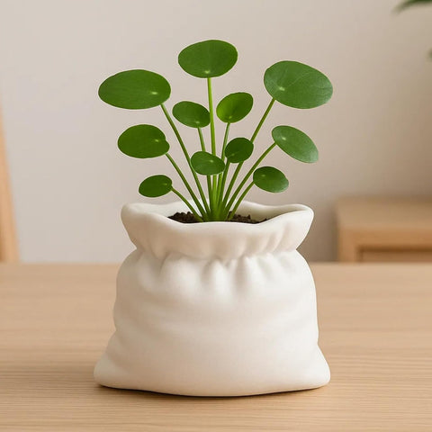 Unique Cumpled Fabric Sack Indoor Plant Pots - 3.54 Inch Fower Pot Small Succulent Green Plants Pot, Cute Plant Gifts for Plant Lovers